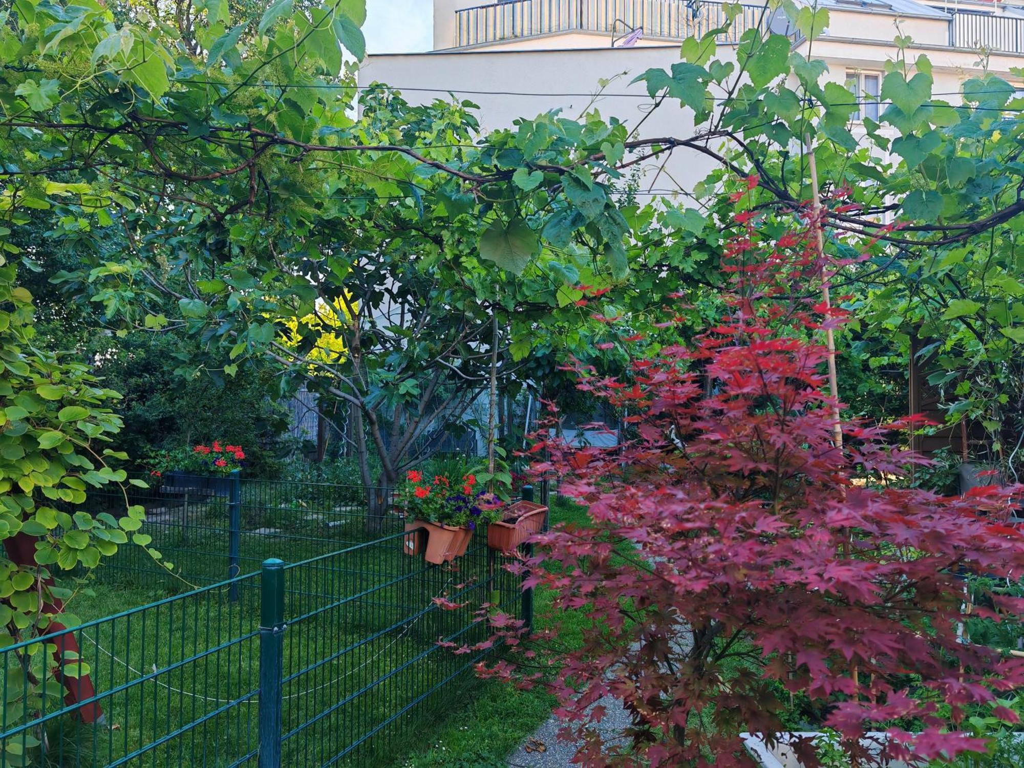 Leopoldauer Wien